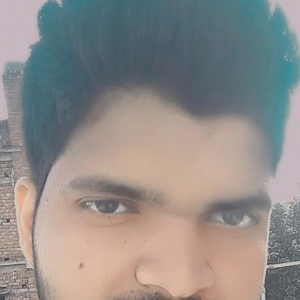 Ravi Kumar-Freelancer in Patna,India