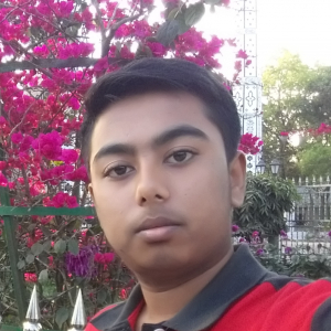 Mahfuzul Islam-Freelancer in Comilla,Bangladesh