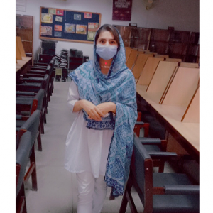 Areeb Aisha-Freelancer in lahore,Pakistan