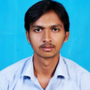 N Srinivas-Freelancer in ,India
