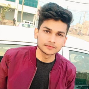 Harsh Sharma-Freelancer in Gurugram,India