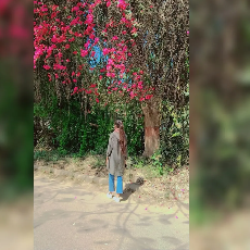 Areesha Azeem-Freelancer in ,India