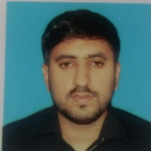 Muhammad Majid Anwar-Freelancer in Lahore,Pakistan