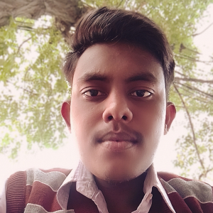 Bittu Kumar-Freelancer in ,India