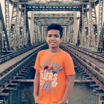 Vishwa Chavda-Freelancer in ,India