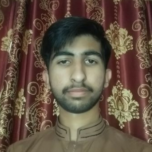 Faizan Abbas-Freelancer in Islamabad,Pakistan