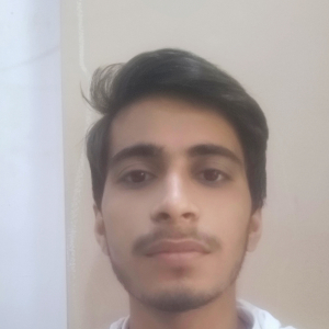 Anand Tiwari-Freelancer in ,India