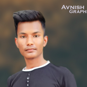 Avaneesh Patel-Freelancer in Allahabad,India