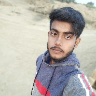 Ariful Islam-Freelancer in ,India