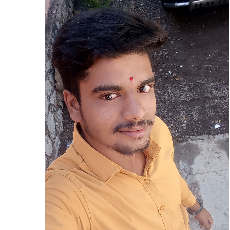 Harshad Sapkal-Freelancer in Pune,India