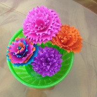 Bhadra Creations-Freelancer in Puthuppally,India