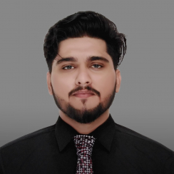 Muhammad Tamoor Jan-Freelancer in Haroonabad,Pakistan