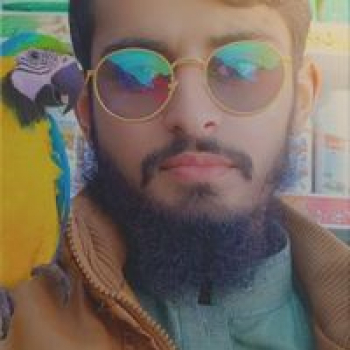 Ch Ramzan-Freelancer in Pakpattan,Pakistan