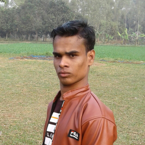 Md Nasir-Freelancer in Rajshahi,Bangladesh