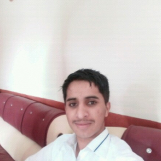 Bilal Anwar-Freelancer in Attock,Pakistan