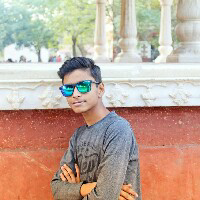Niteah Sharma-Freelancer in Faridabad,India