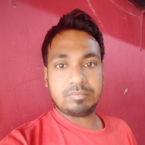Anamul Haque Mithu-Freelancer in Dhaka,Bangladesh