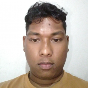 Sunil Hembram-Freelancer in Rairangpur,India