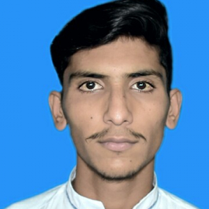 Muhammad Tahir-Freelancer in Chishtian Sharif,Pakistan