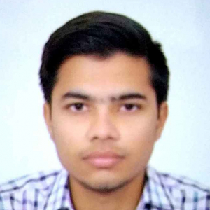 Vivek Aggarwal-Freelancer in ,India