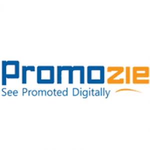 Promo Zie-Freelancer in Pune,India