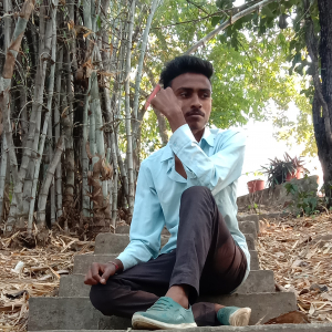 Parmar Tusharkumar Laxmikantbhai-Freelancer in vadodara,India