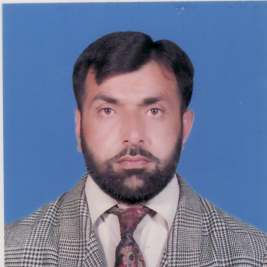 Mher Mushtaq Hussain-Freelancer in Multan,Pakistan