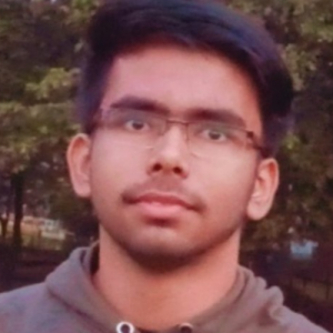 Sitanshu Kumar-Freelancer in Jamshedpur,India