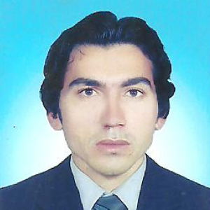 Wiqar Ahmad-Freelancer in ,Pakistan