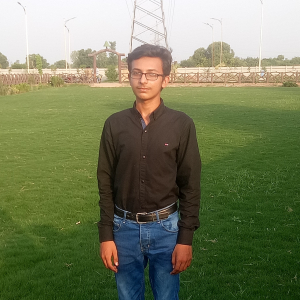 M Mustafa Ali-Freelancer in Faisalabad,Pakistan