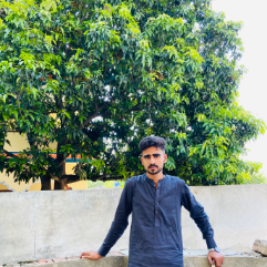 SHAHZAIB AKRAM-Freelancer in Bhimber Azad kashmir,Pakistan