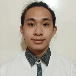 Matt Alarcon-Freelancer in Imus,Philippines