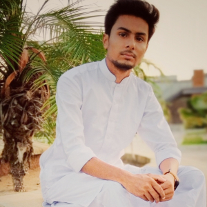 Hamza Rajput-Freelancer in Karachi,Pakistan