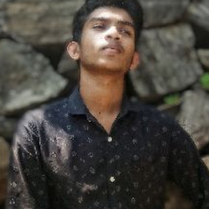 Jesbin Binu-Freelancer in Mananthavady,India
