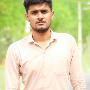 Ashok Bishnoi-Freelancer in ,India