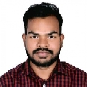 Vivek Pillay-Freelancer in Pune,India