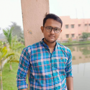 Partha Nath-Freelancer in Presidency Division,India