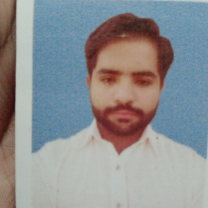 Aasif Javed-Freelancer in Dera Ghazi Khan,Pakistan