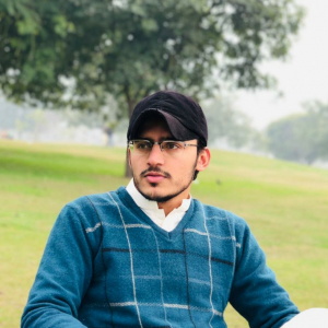 Muhammad Mehdi-Freelancer in Lahore,Pakistan