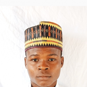 Bashir Mohammed-Freelancer in Abuja,Nigeria