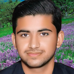 Abbas Hussain-Freelancer in Hafizabad,Pakistan