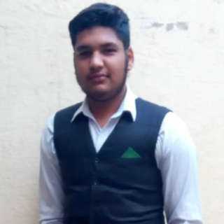 Muzzammil Hussain-Freelancer in ,Pakistan