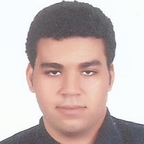 Mahmoud Tawfeek-Freelancer in ,Egypt