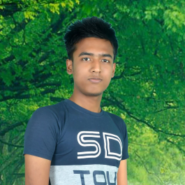 Bipul Kumar-Freelancer in Bogura,Bangladesh