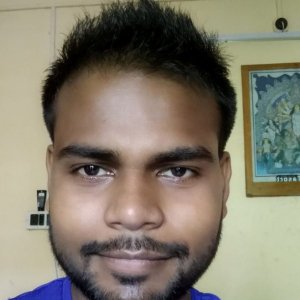 Kailash Verma-Freelancer in ,India