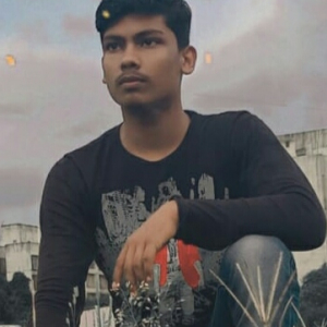 Mohammed Asif Shaikh-Freelancer in ,India