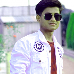 Neelesh Patel-Freelancer in ,India