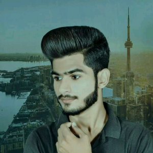 Muhammad Zia-Freelancer in Sialkot, Punjab,Pakistan
