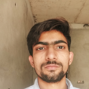 Vikash Kumar-Freelancer in HARYANA V.P.O PALI FARIDABAD ,India