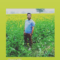 Harsh Sharma-Freelancer in Faridabad,India